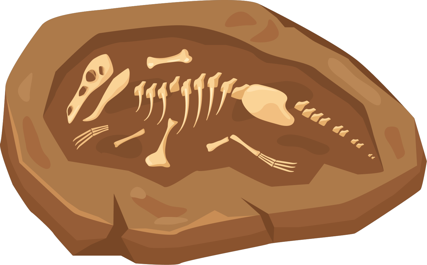 Fossil image fossil_01.png