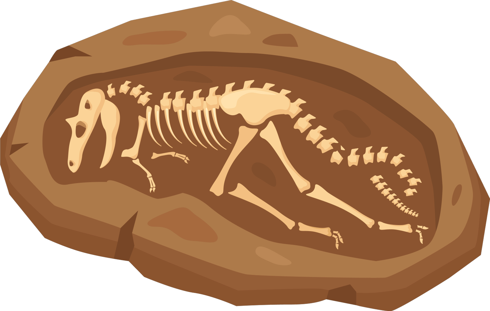 Fossil image fossil_02.png