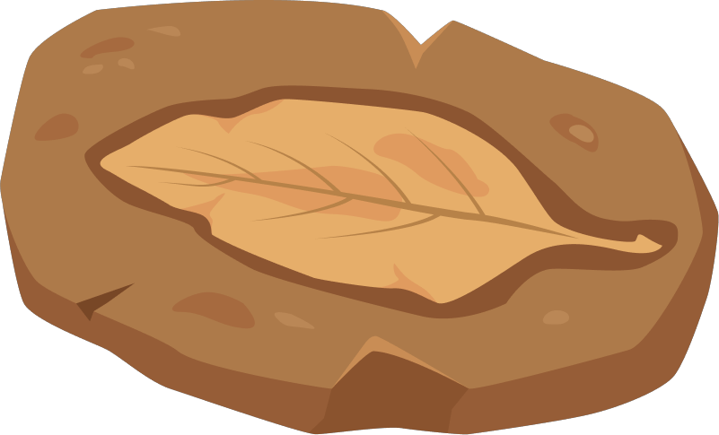 Fossil image fossil_03.png