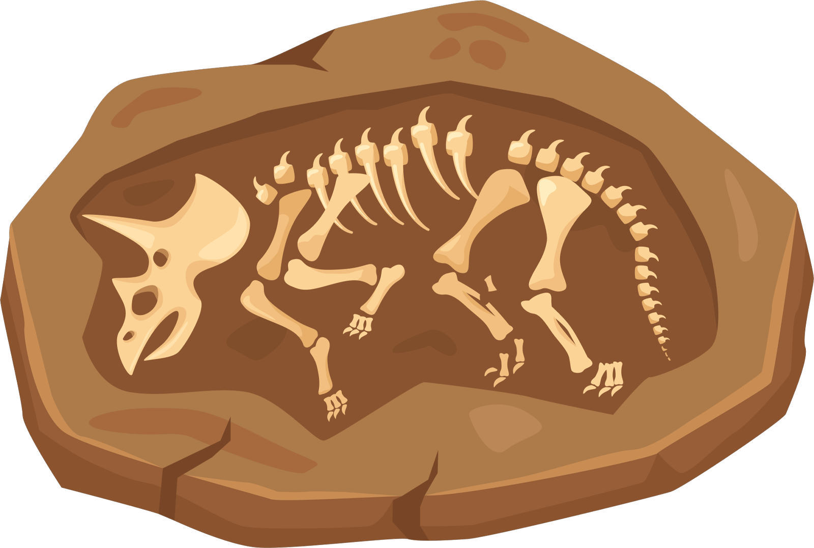Fossil image fossil_08.png