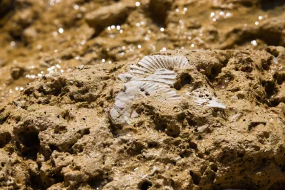 Mort et enfouissement