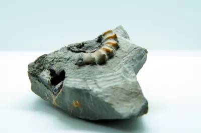 Adhésifs et consolidants