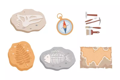 Cartographie des fragments ("float")