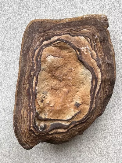 Datation et mise en contexte des découvertes