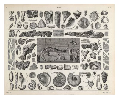 Précarité financière 